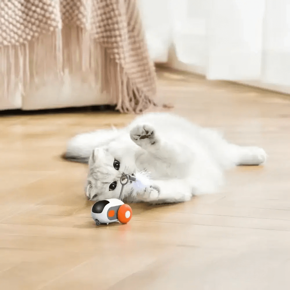 TURBO TAIL 2.0 | Eindeloos plezier voor je kattenvriend!