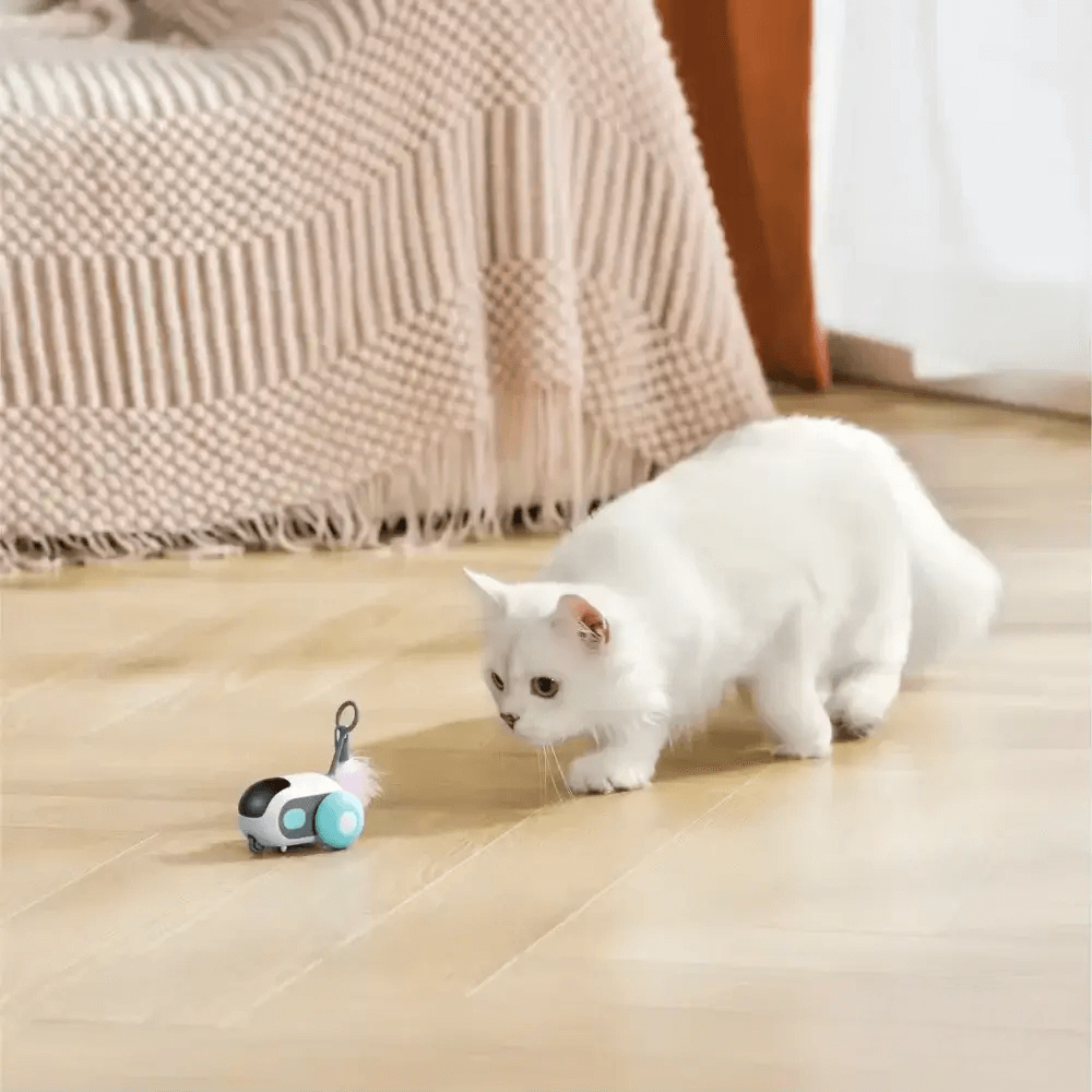 TURBO TAIL 2.0 | Eindeloos plezier voor je kattenvriend!