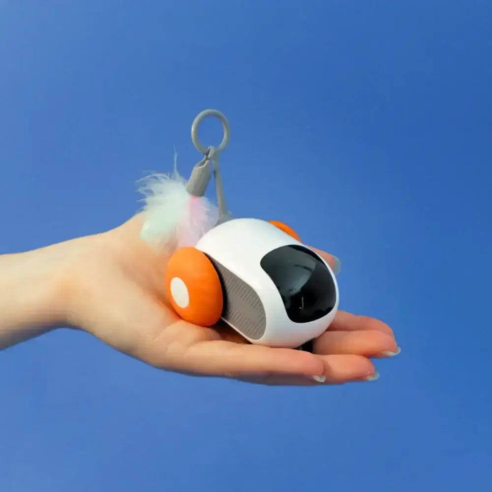 TURBO TAIL 2.0 | Eindeloos plezier voor je kattenvriend!