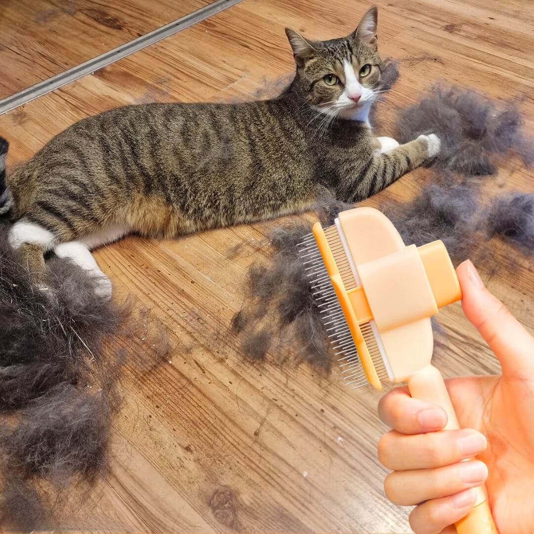 WonderBrush™ – The Gentle Deshedding Brush