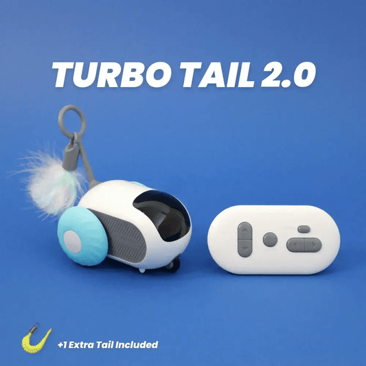 TURBO TAIL 2.0 | Endloser Spaß für deinen Katzenfreund!